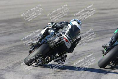 media/Feb-04-2024-SoCal Trackdays (Sun) [[91d6515b1d]]/4-Bowl Backside (11am)/